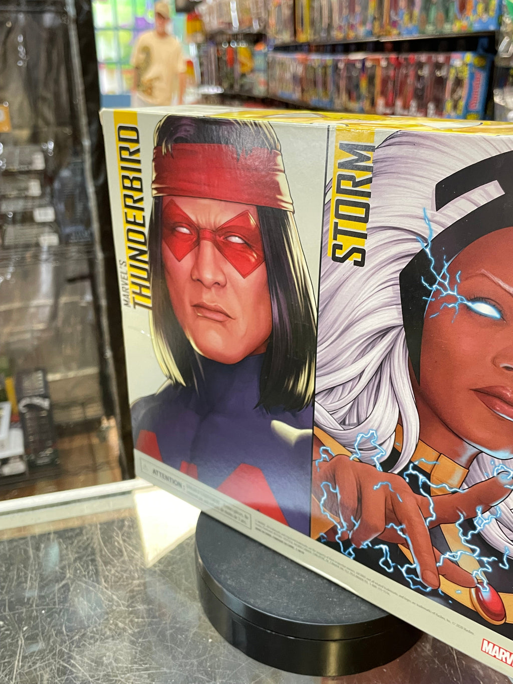 Storm & Thunderbird 2 Pack (X-Men, Marvel Legends, Hasbro) SEALED product image 7, provided for visual reference and product