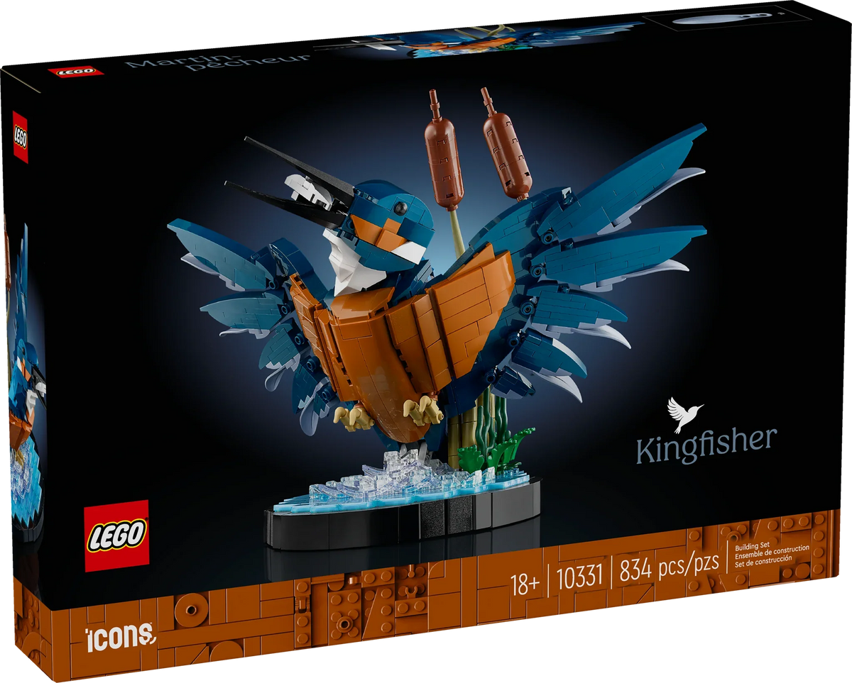 10331 Kingfisher Bird product image 1, provided for visual reference and product detail review
