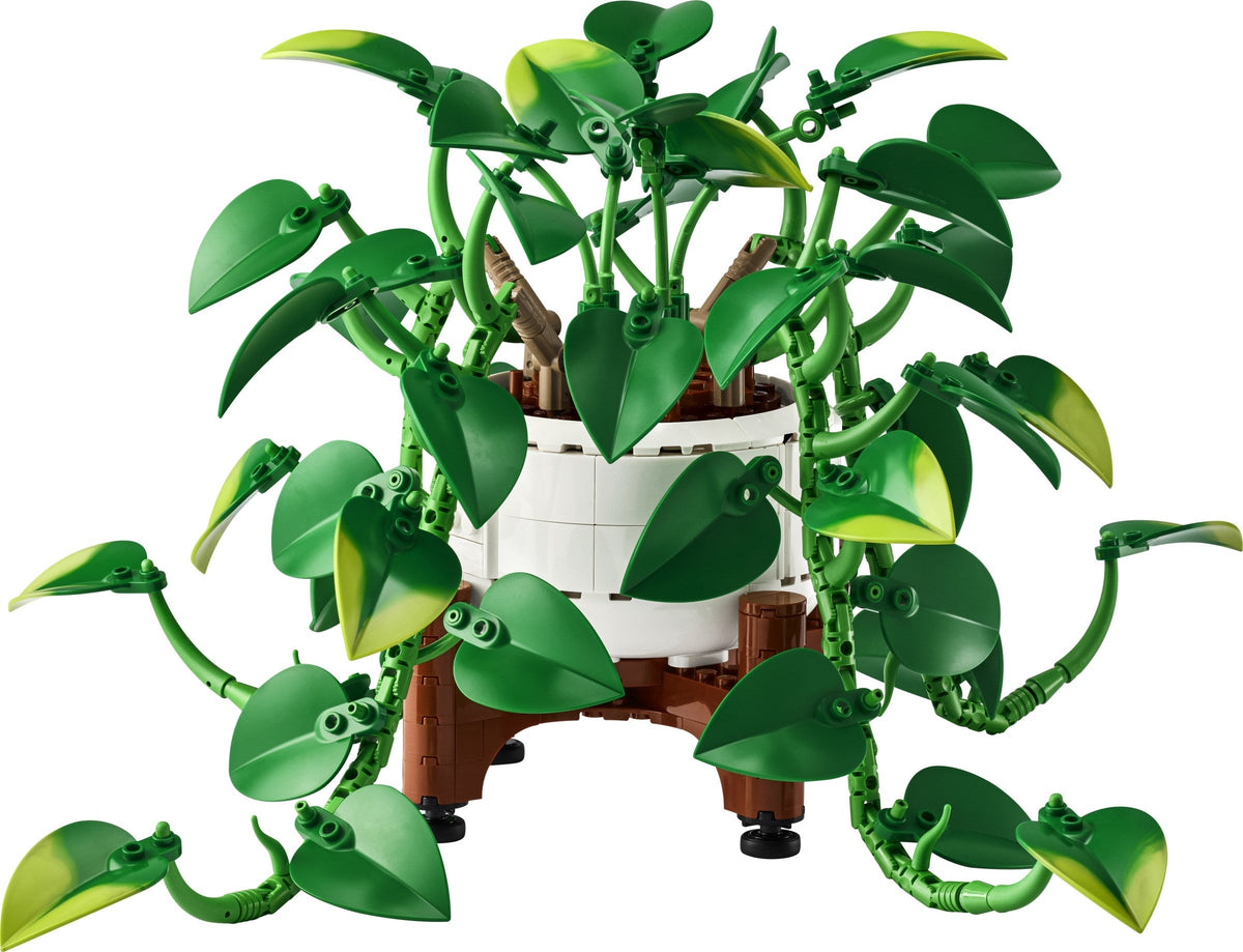 11512 Hanging Golden Pothos product image 1, provided for visual reference and product detail review