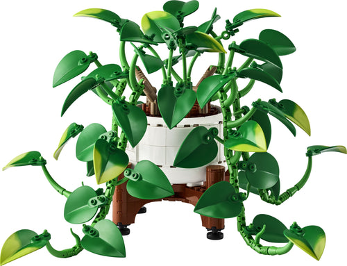 11512 Hanging Golden Pothos product image 1, provided for visual reference and product detail review