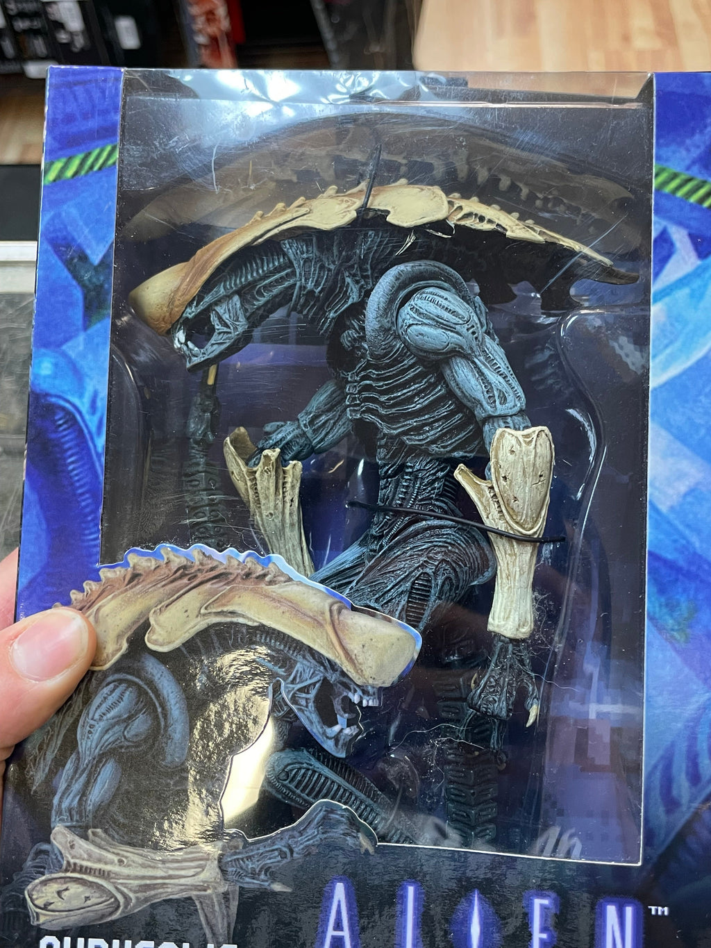 Chrysalis Alien (NECA, Predator vs Alien) **SEALED** product image 4, provided for visual reference and product detail review