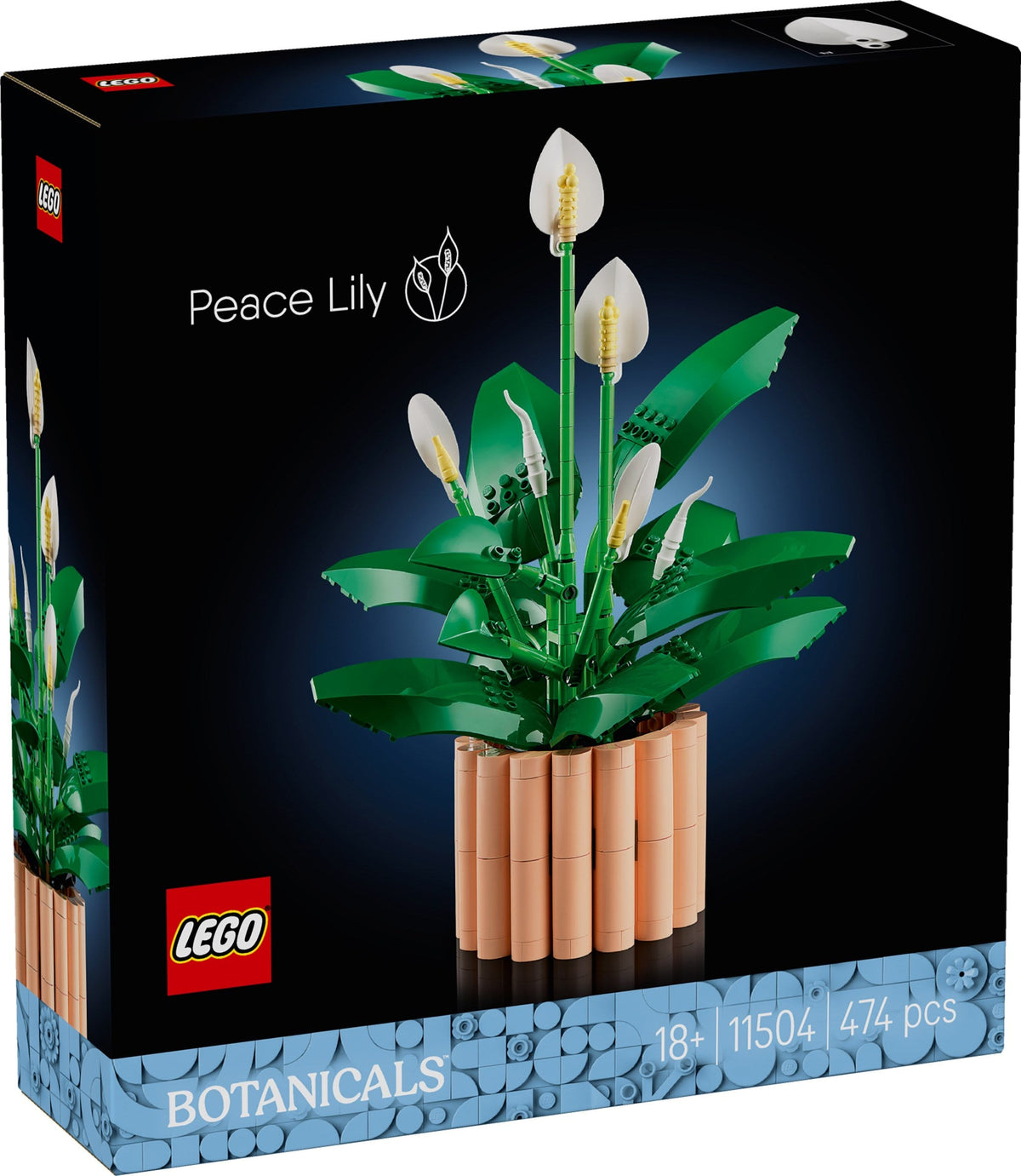 11504 Peace Lily product image 1, provided for visual reference and product detail review