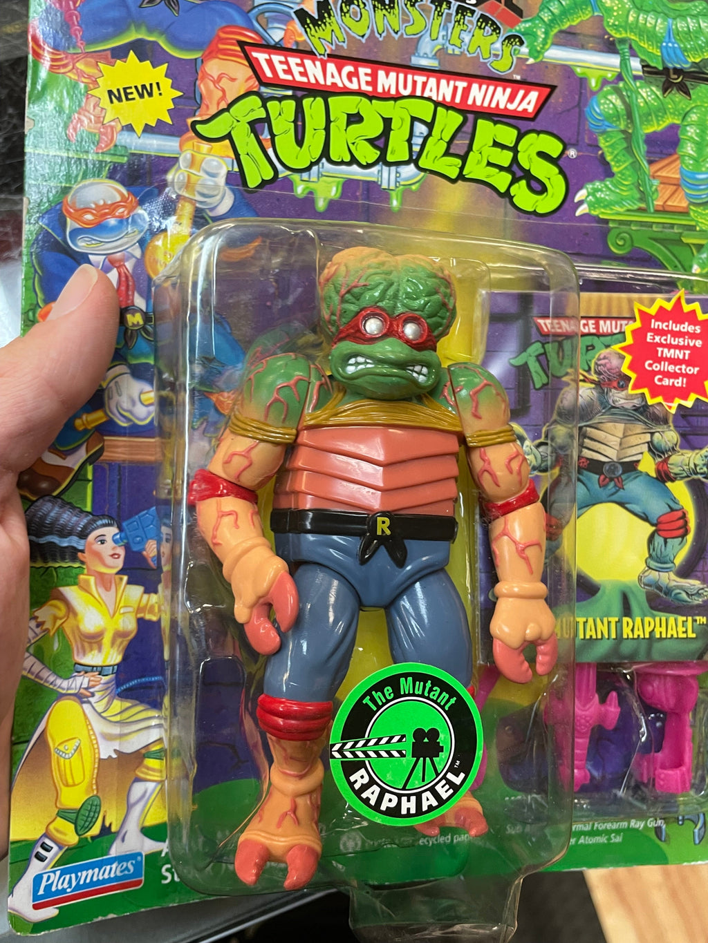 The Mutant Raphael (Vintage TMNT Ninja Turtles, Playmates) SEALED product image 7, provided for visual reference and product