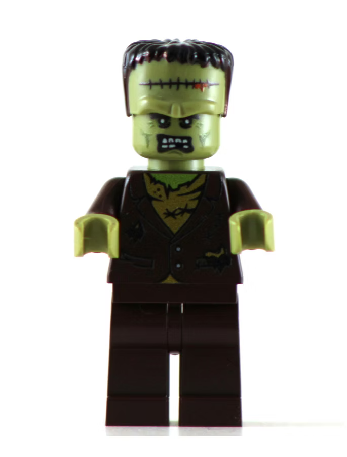 Big Kid Brix Frankenstein product image 1, provided for visual reference and product detail review