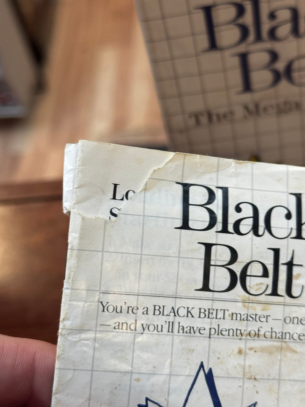 Black Belt with Box & Manual (Vintage Sega Master System, Video Game) product image 7, provided for visual reference and