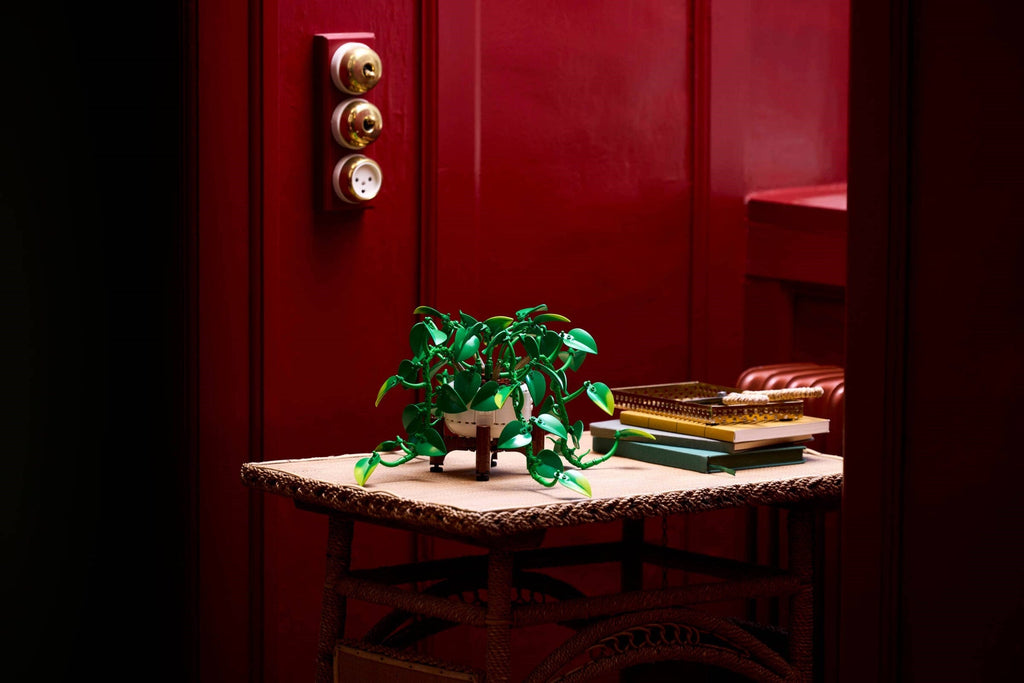 11512 Hanging Golden Pothos product image 2, provided for visual reference and product detail review