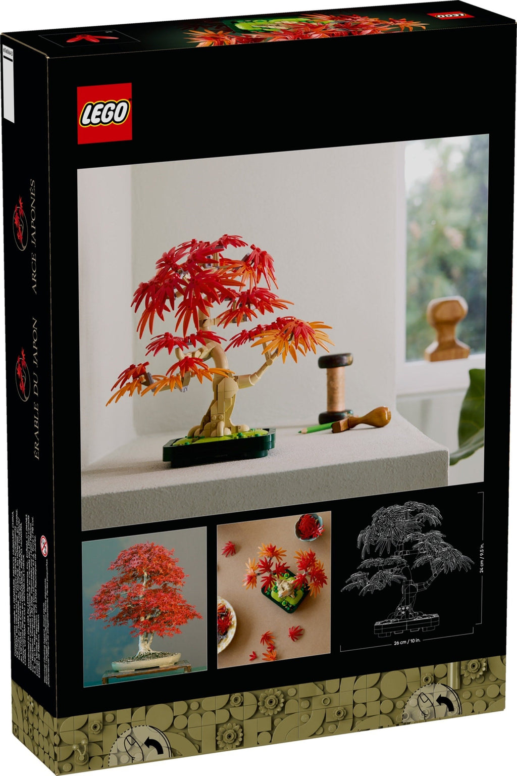 10348 Japanese Maple Tree product image 3, provided for visual reference and product detail review