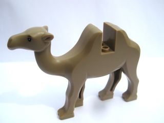 88291c01pb01 Camel with Black Eyes product image 1, provided for visual reference and product detail review