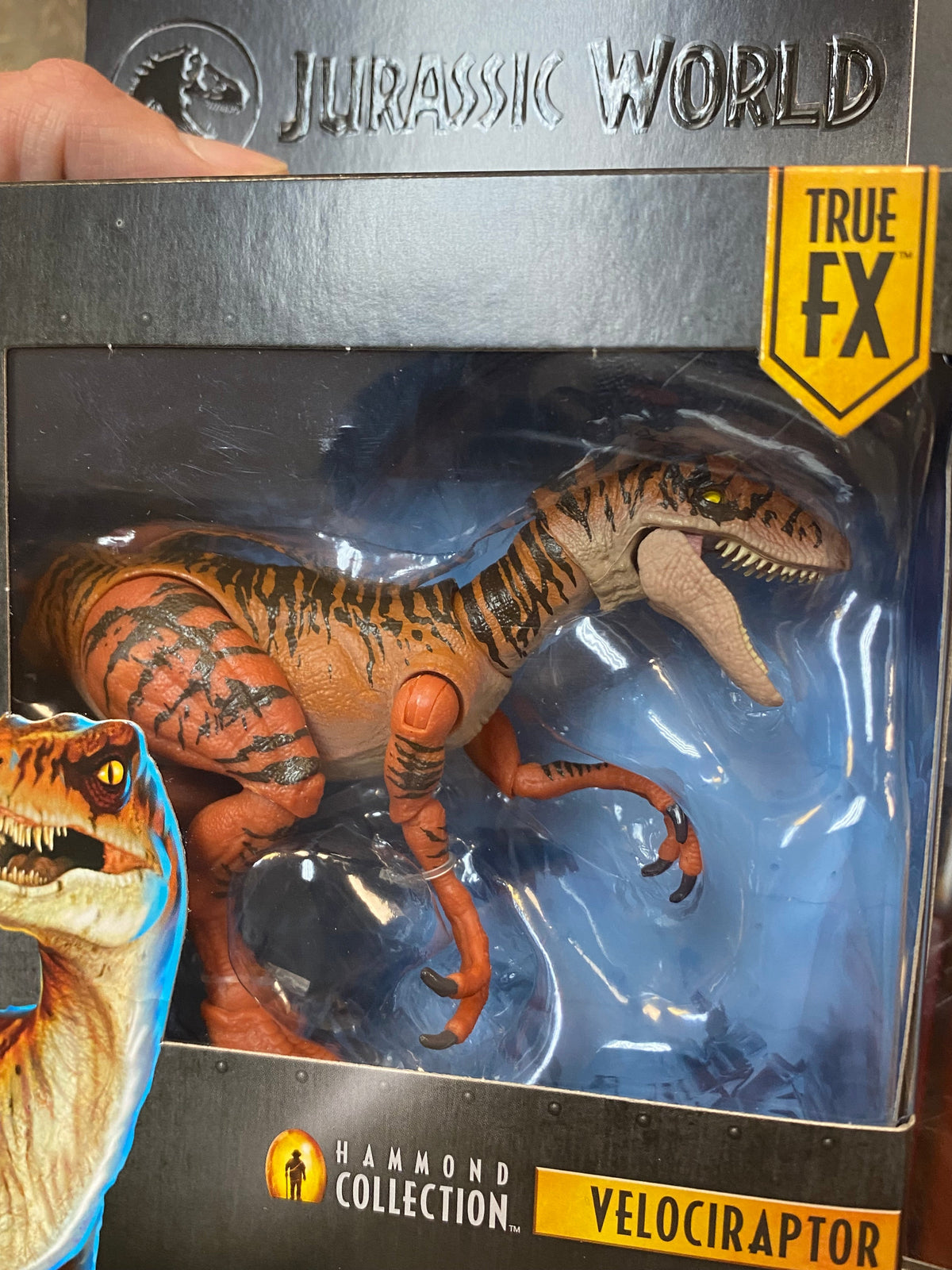 Orange Velociraptor (Jurassic Park Hammond Collection, Mattel) SEALED product image 4, provided for visual reference and