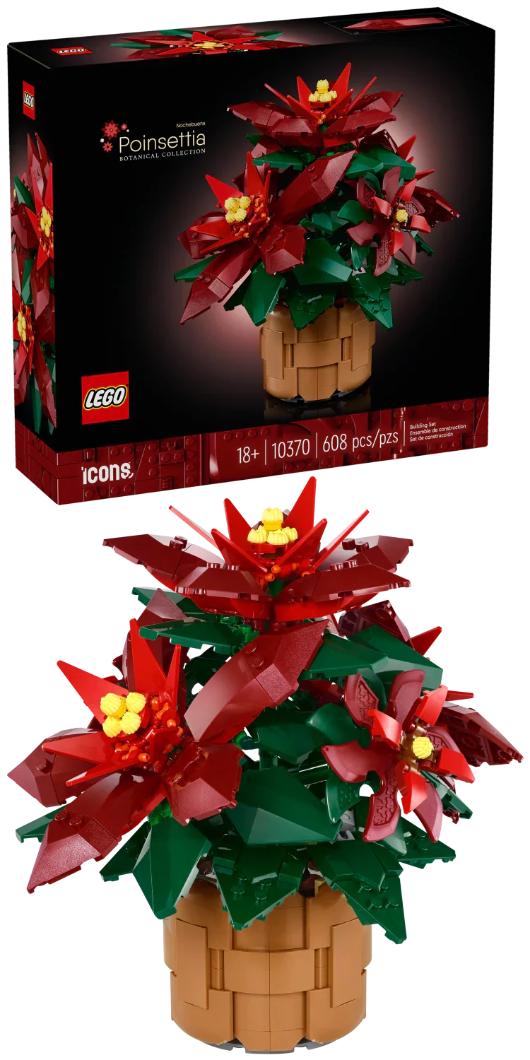 10370 Poinsettia Plant product image 1, provided for visual reference and product detail review