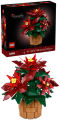 10370 Poinsettia Plant product image 1, provided for visual reference and product detail review