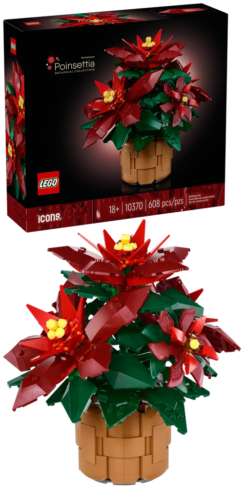 10370 Poinsettia Plant product image 1, provided for visual reference and product detail review