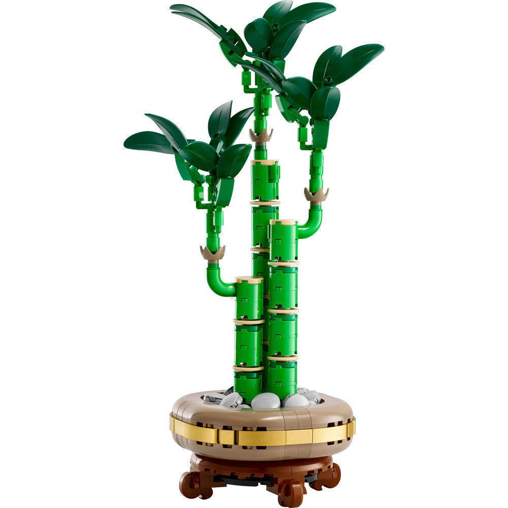 10344 Lucky Bamboo product image 3, provided for visual reference and product detail review