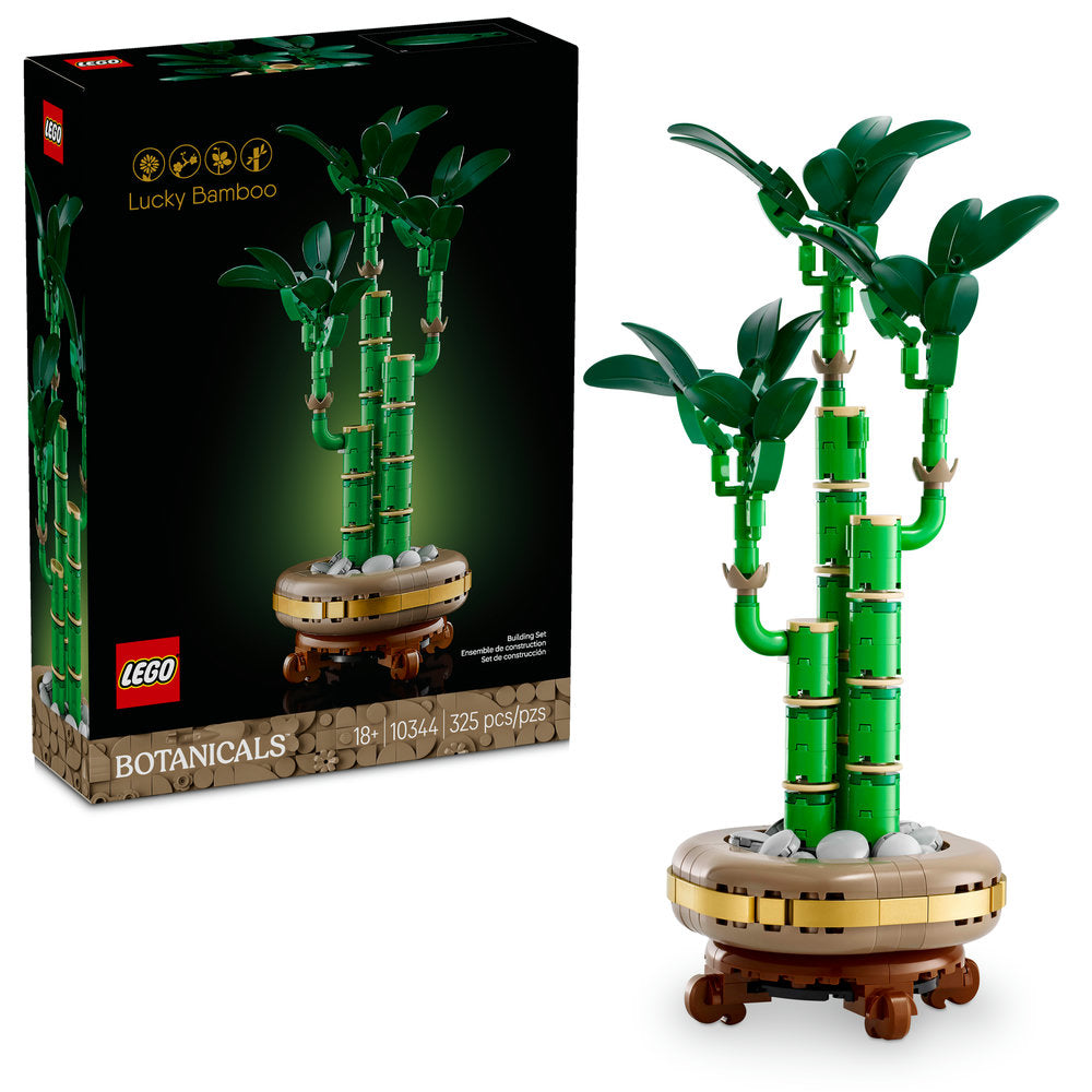 10344 Lucky Bamboo product image 1, provided for visual reference and product detail review