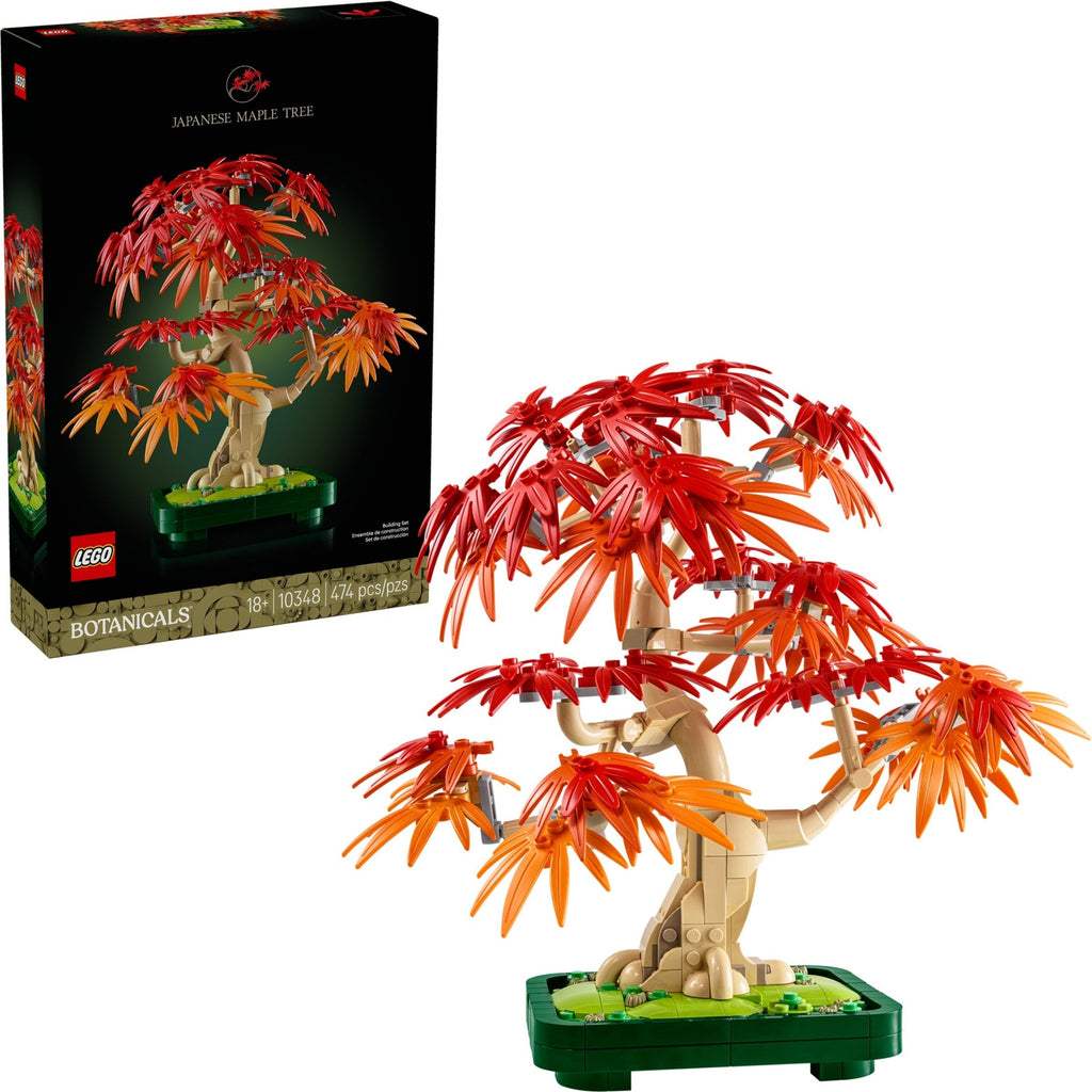 10348 Japanese Maple Tree product image 1, provided for visual reference and product detail review