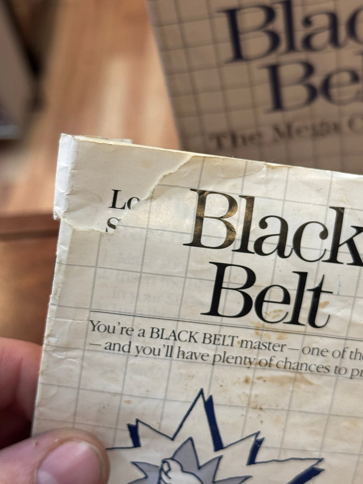 Black Belt with Box & Manual (Vintage Sega Master System, Video Game) product image 6, provided for visual reference and