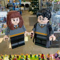 76393 LEGO Harry Potter: Harry Potter & Hermione Granger (Retired) (Previously Owned) product image 1, provided for visual