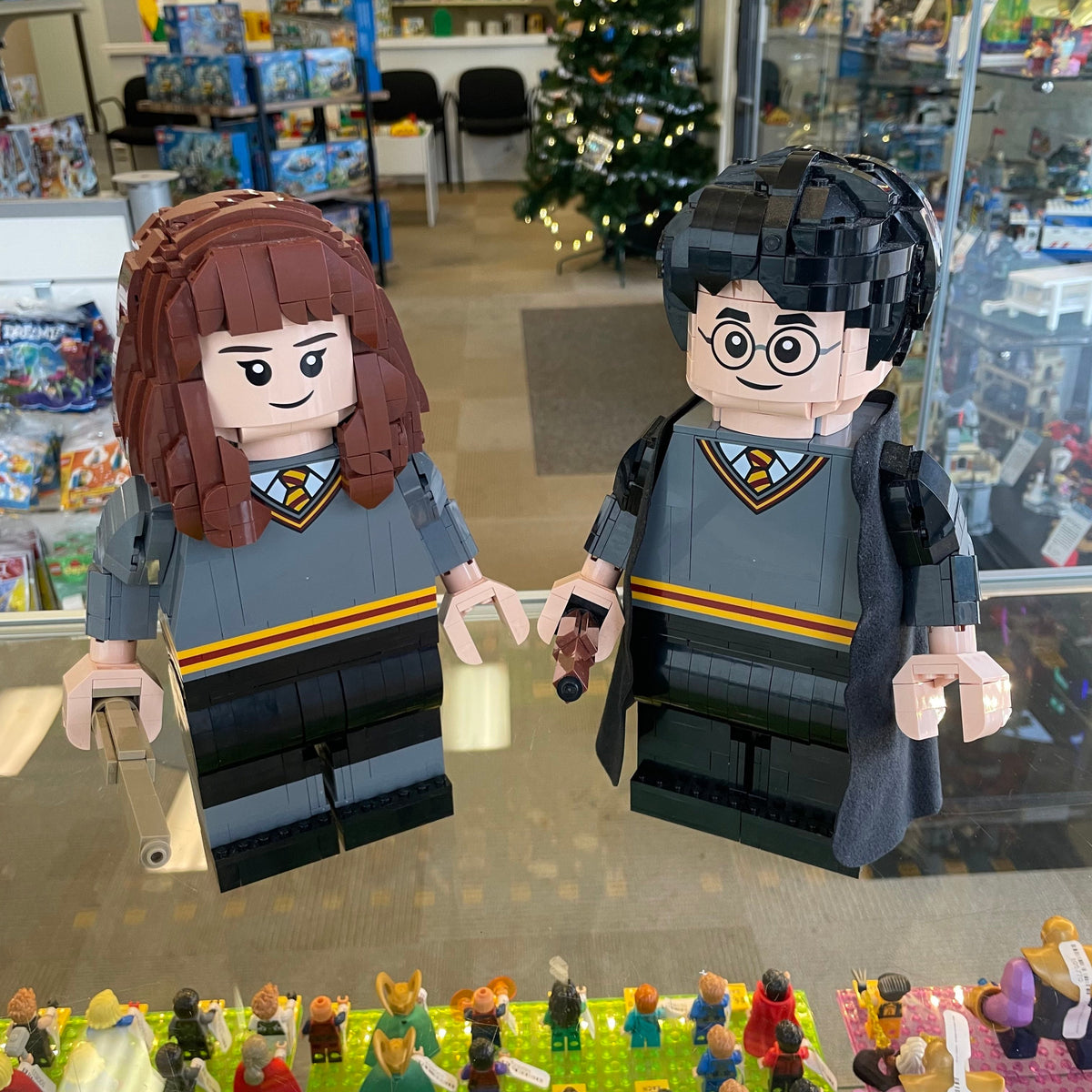 76393 LEGO Harry Potter: Harry Potter & Hermione Granger (Retired) (Previously Owned) product image 1, provided for visual