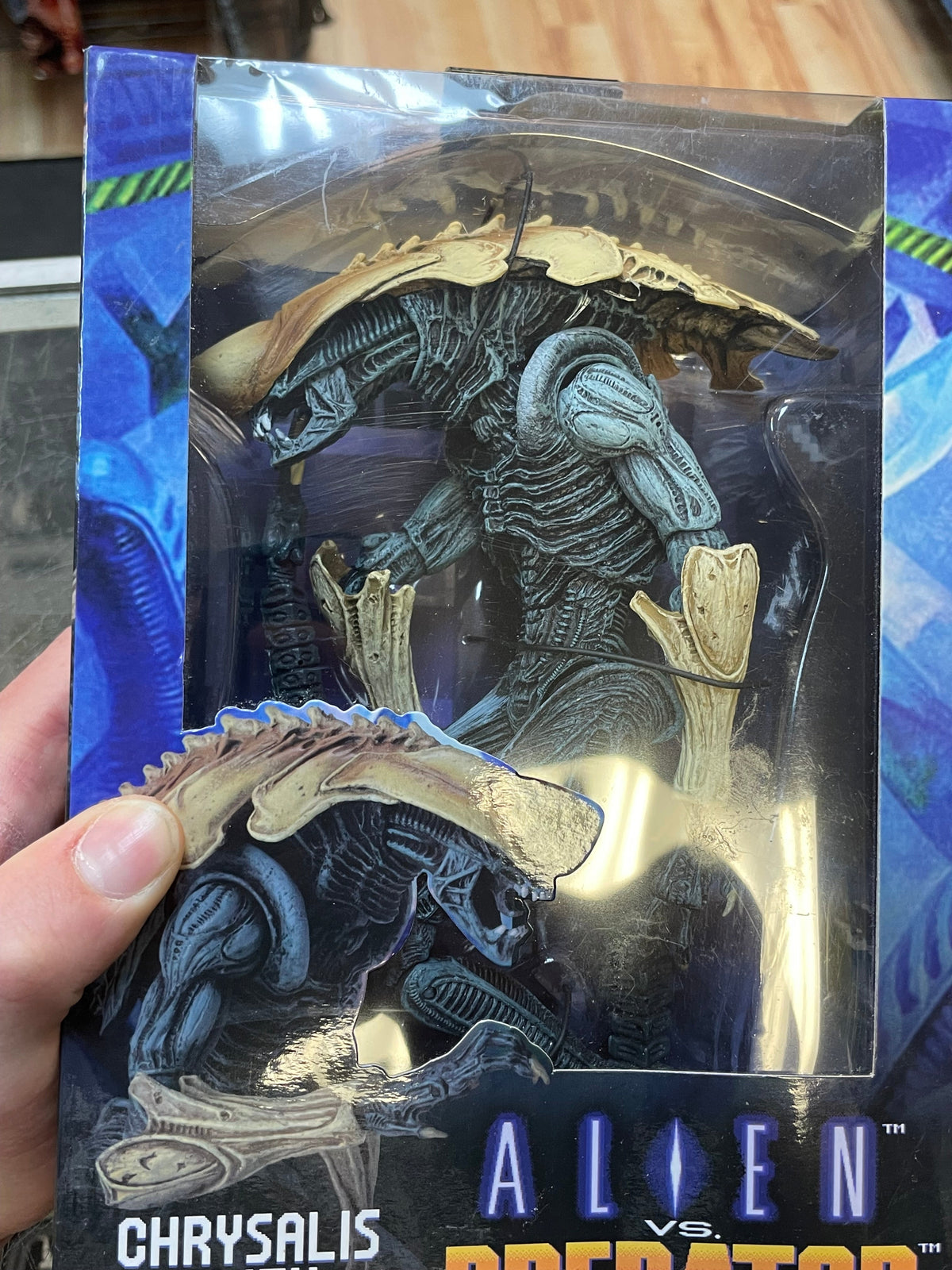 Chrysalis Alien (NECA, Predator vs Alien) **SEALED** product image 5, provided for visual reference and product detail review