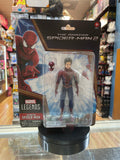 Andrew Garfield -Amazing Spider-Man- (Marvel Legends, Hasbro) **SEALED** product image 1, provided for visual reference and