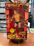Bill Goldberg 12" Posable Figure (Vintage WCW WWF, OSFTM) Open Box product image 1, provided for visual reference and