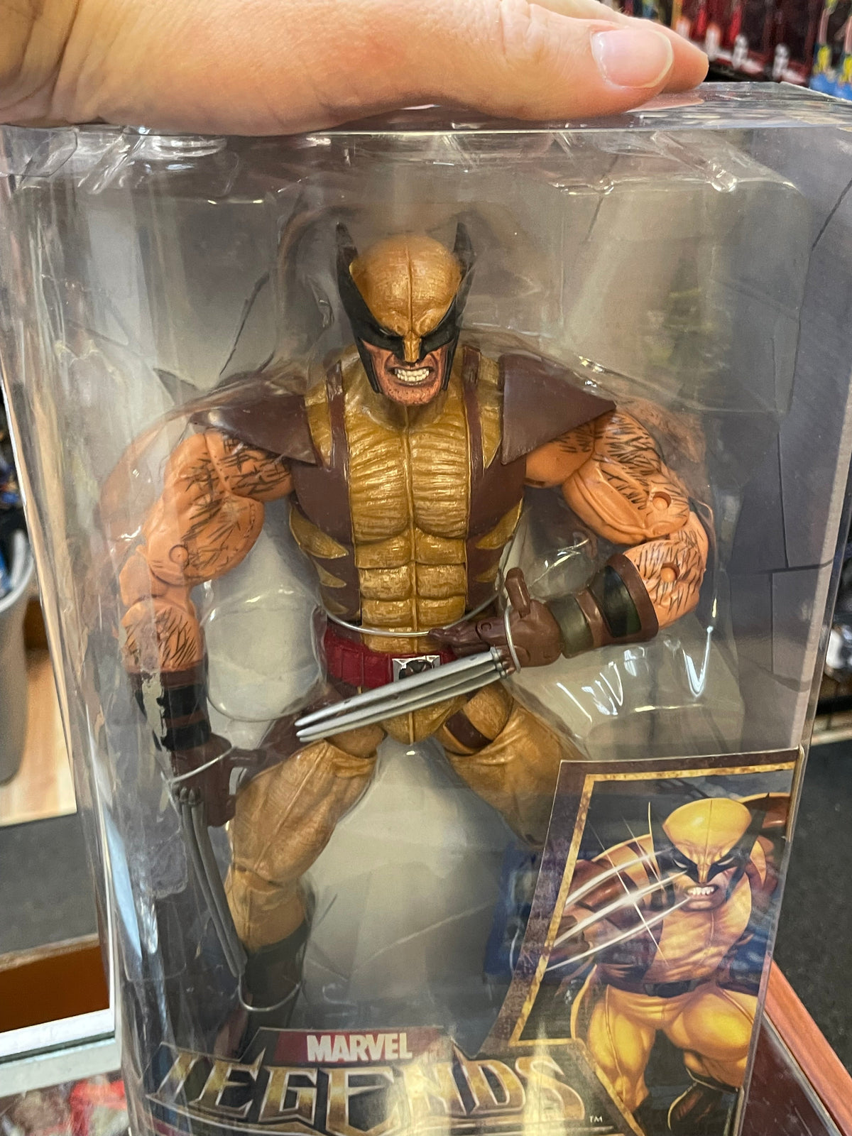 Wolverine -Deluxe Icon Series- (Marvel Legends, Hasbro) **SEALED** product image 3, provided for visual reference and