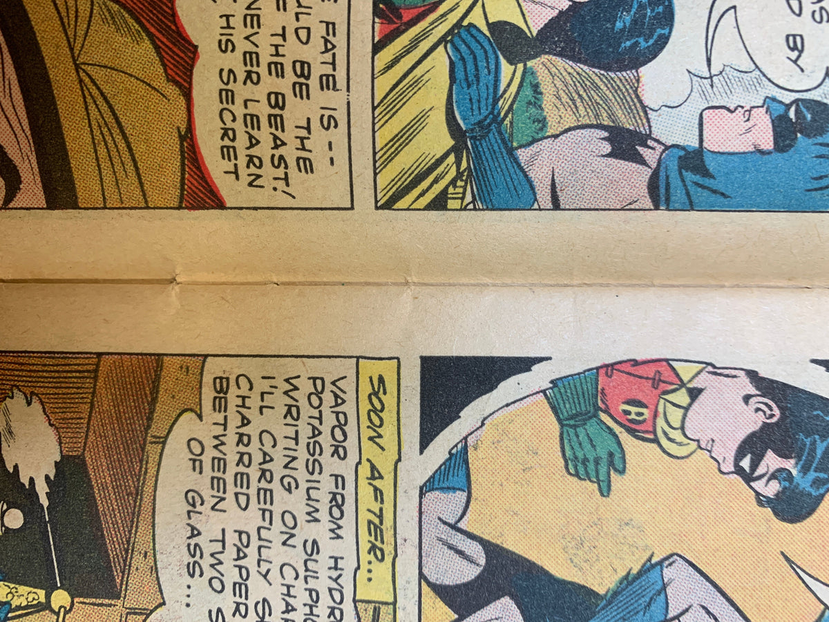The Beast Of Koba Bay #297 (DC Comics, Detective Comics) product image 20, provided for visual reference and product detail