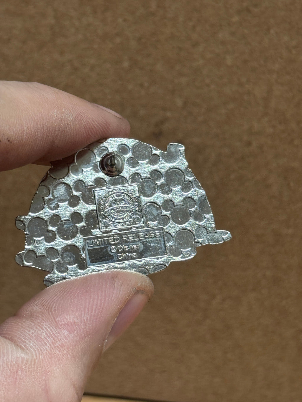 Bullfrog & Turtle Reveal & Conceal Spalsh Mountain (Walt Disney World, Pin Traders) product image 2, provided for visual
