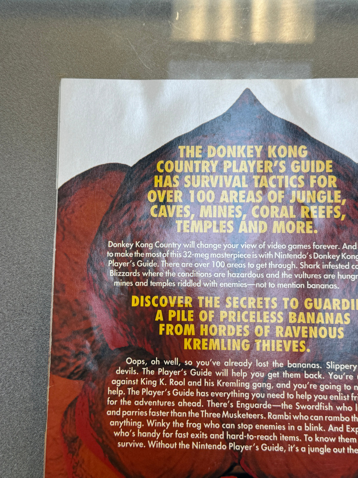 Donkey Kong Country Players Guide (Nintendo SNES, Video Game) product image 7, provided for visual reference and product
