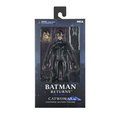 Catwoman (NECA, DC Batman ) **SEALED** product image 1, provided for visual reference and product detail review