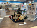 6241 LEGO Pirates: Loot Island (Retired) (Previously Owned) product image 1, provided for visual reference and product