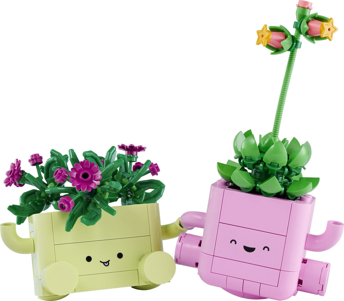 11506 Rocking Plants product image 2, provided for visual reference and product detail review
