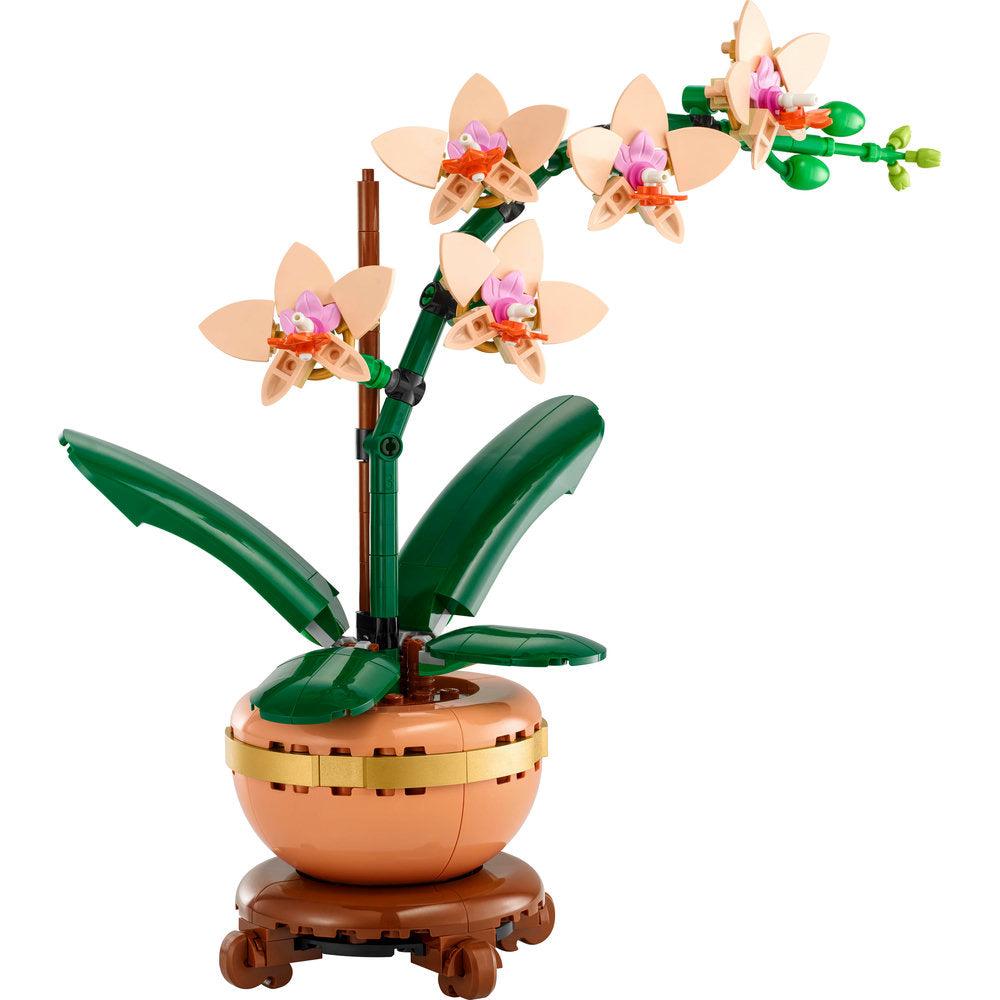 10343 Mini Orchid product image 3, provided for visual reference and product detail review