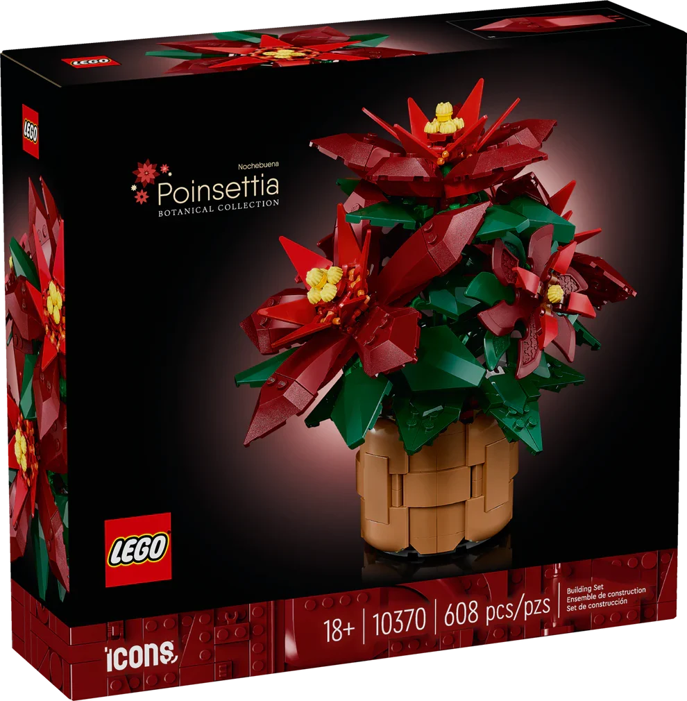 10370 Poinsettia Plant product image 2, provided for visual reference and product detail review