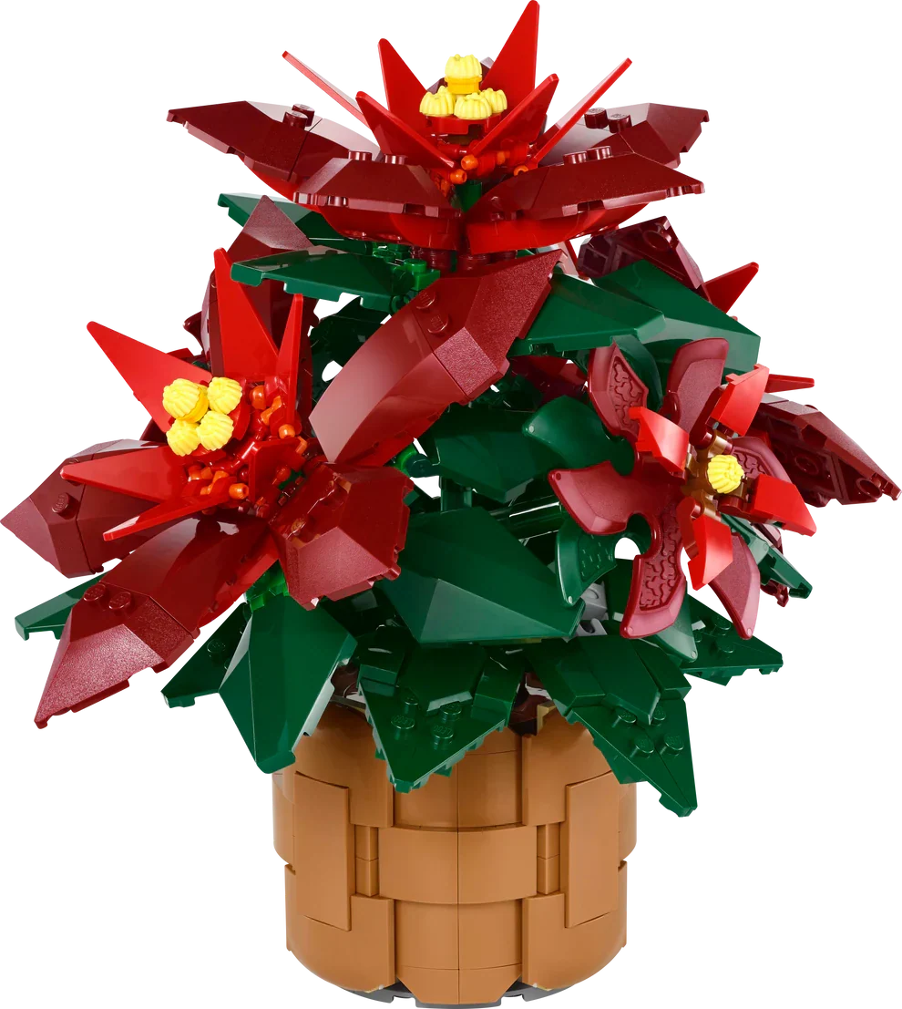 10370 Poinsettia Plant product image 3, provided for visual reference and product detail review