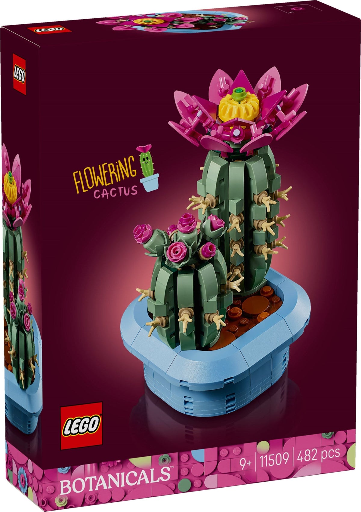 11509 Flowering Cactus product image 1, provided for visual reference and product detail review