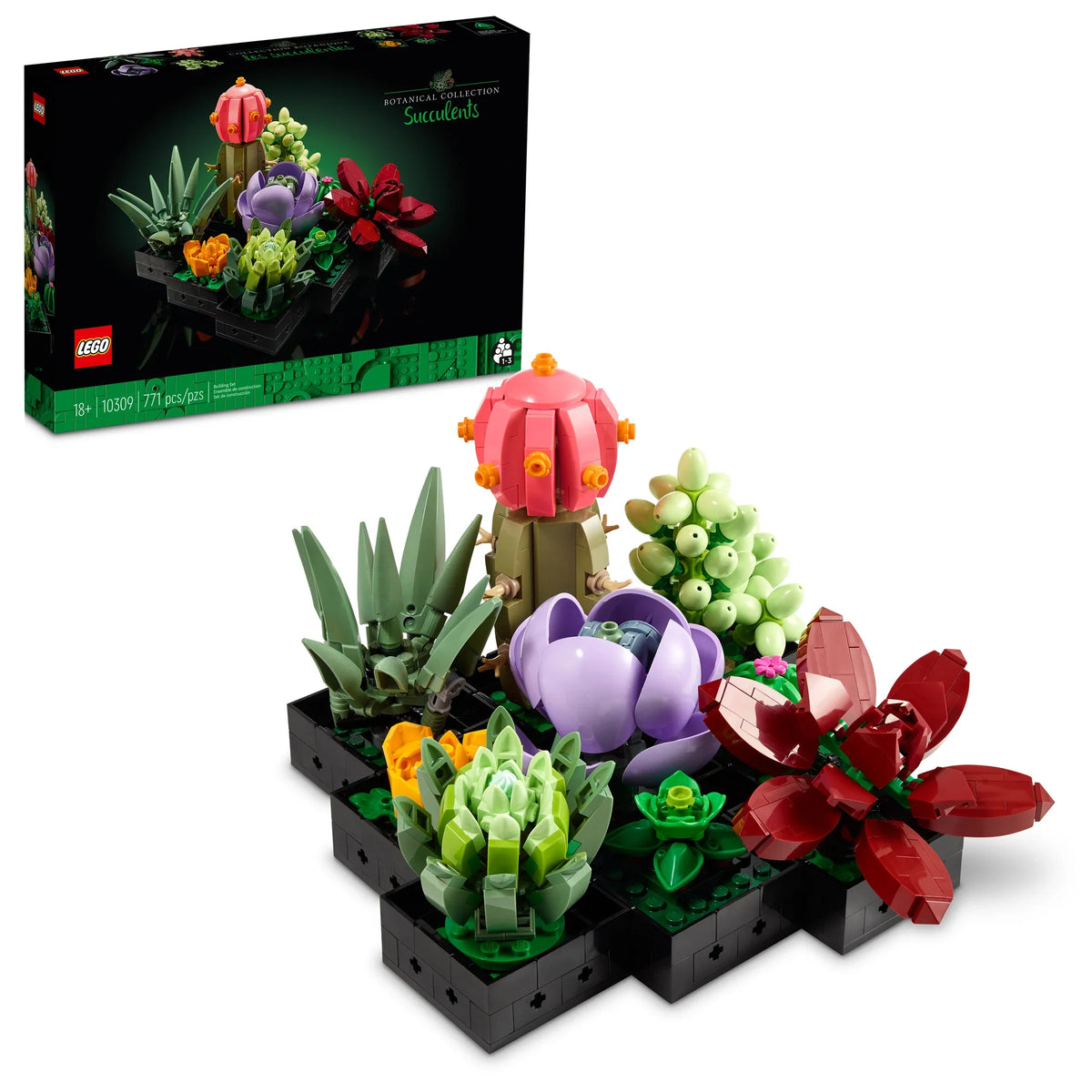 10309 Succulents (Certified Complete) product image 1, provided for visual reference and product detail review