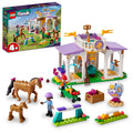 41746 Horse Training product image 1, provided for visual reference and product detail review